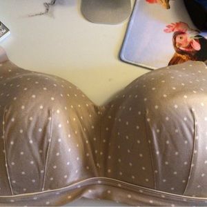 Cacique Lightly Lined Wireless Lounge Bra 40DDD